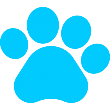 Pets