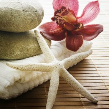 Spa & Salon