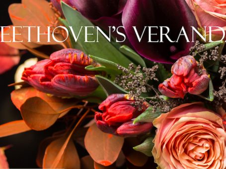 Beethoven’s Veranda