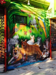 Whiskers Holistic Pet Store