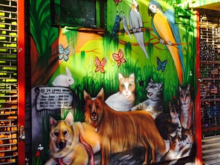Whiskers Holistic Pet Store