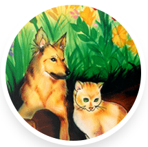 Whiskers Holistic Pet Store