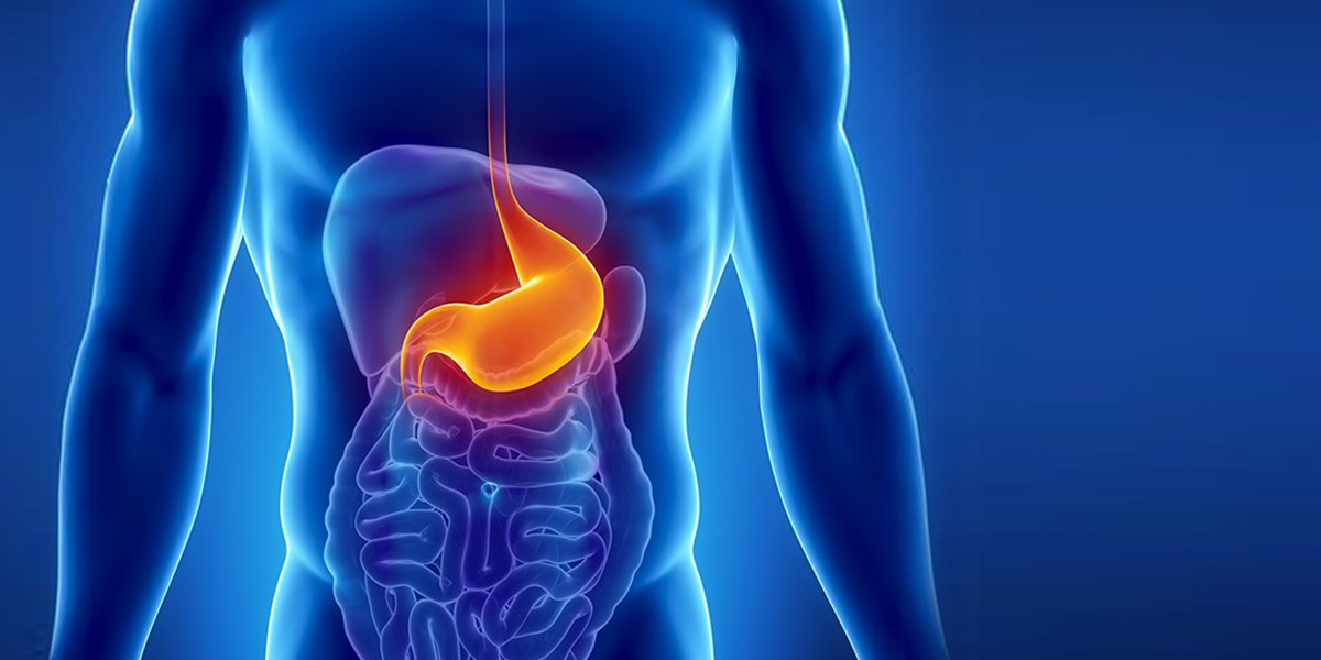 Manhattan Gastroenterology (Union Square)