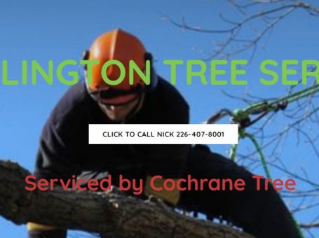 Burlington Tree Service
