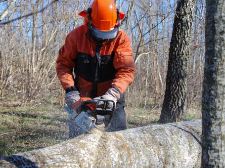 Tree Service Mobile AL