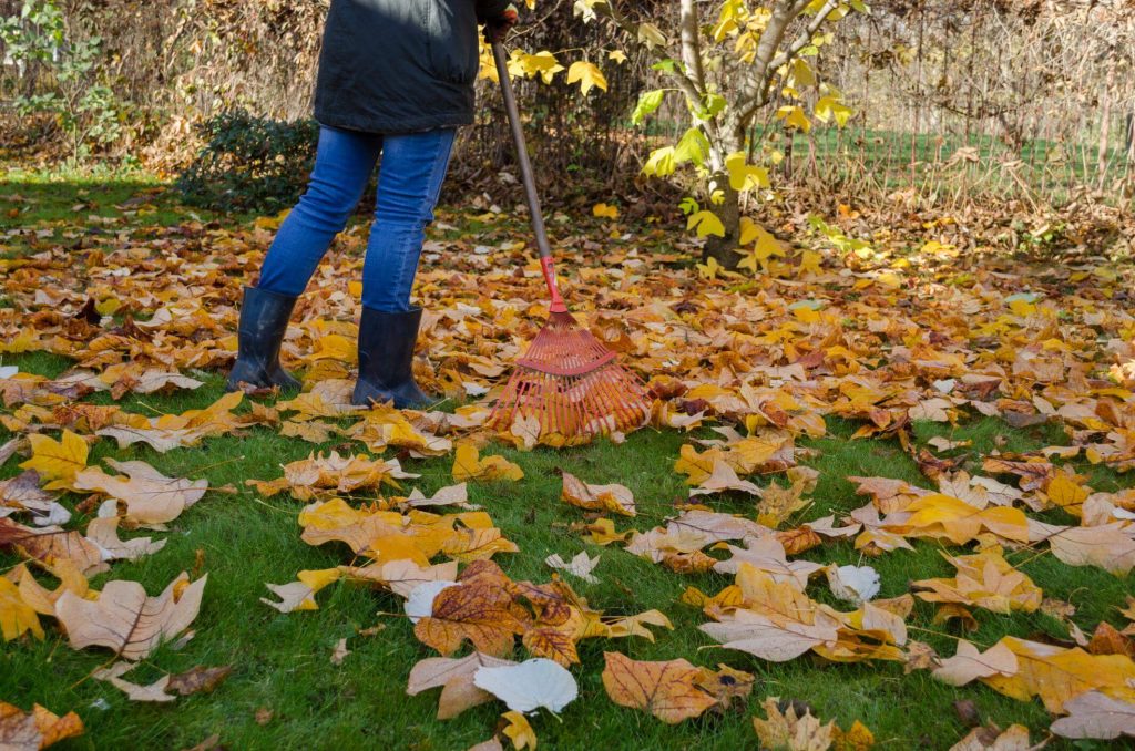 Landscaping Pros of Orange County