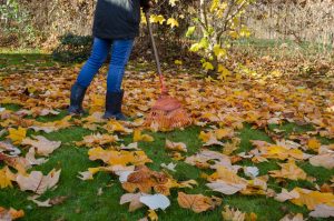 Landscaping Pros of Orange County
