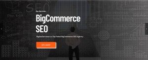 Big Seo Services
